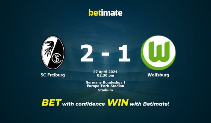 Freiburg vs wolfsburg