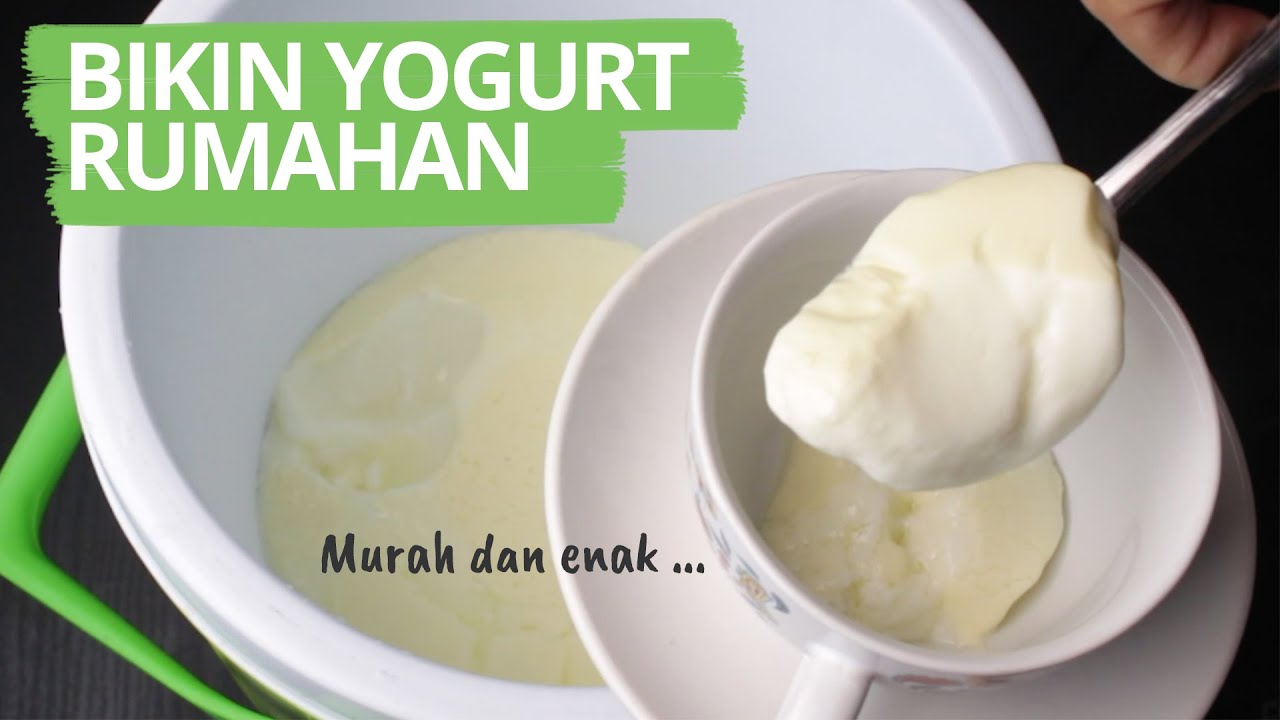 Cara membuat yogurt